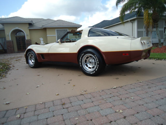 1981 Chevrolet Corvette - photo 3