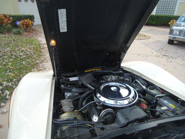 1981 Chevrolet Corvette - photo 7