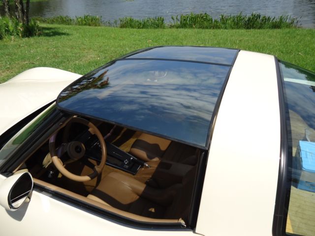 1981 Chevrolet Corvette TAN - photo 11