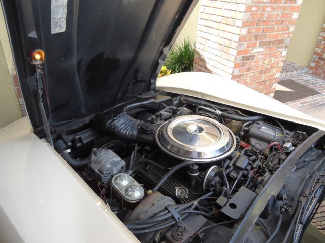 1981 Chevrolet Corvette TAN - photo 8