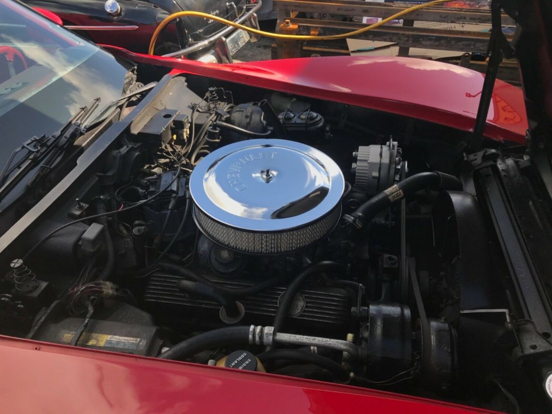 1981 Chevrolet Corvette T tops corvette low mile original survivor - photo 2