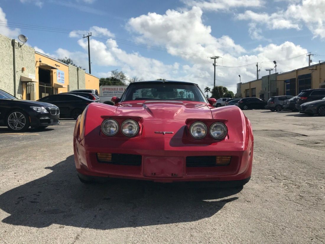 1981 Chevrolet Corvette T tops corvette low mile original survivor - photo 6