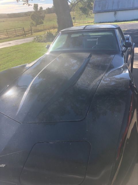 1981 Chevrolet Corvette - photo 5