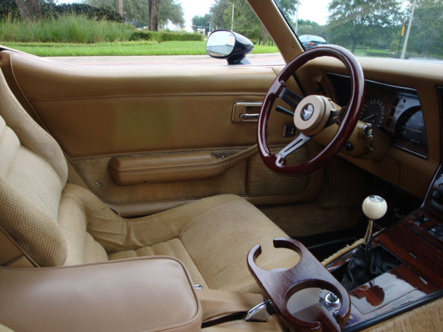 1981 Chevrolet Corvette Coupe - photo 13