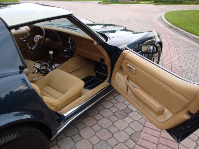 1981 Chevrolet Corvette Coupe - photo 7