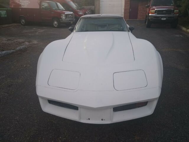 1981 Chevrolet Corvette Corvette - photo 2