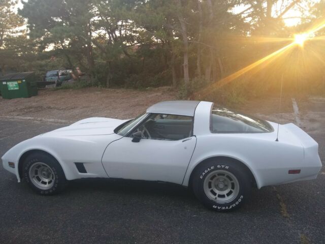 1981 Chevrolet Corvette Corvette - photo 7