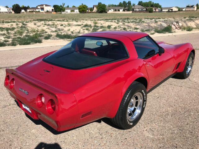 1981 Chevrolet Corvette - photo 10