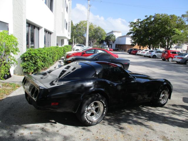 1981 Chevrolet Corvette - photo 11