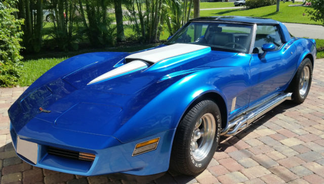 1981 Chevrolet Corvette basic - photo 3