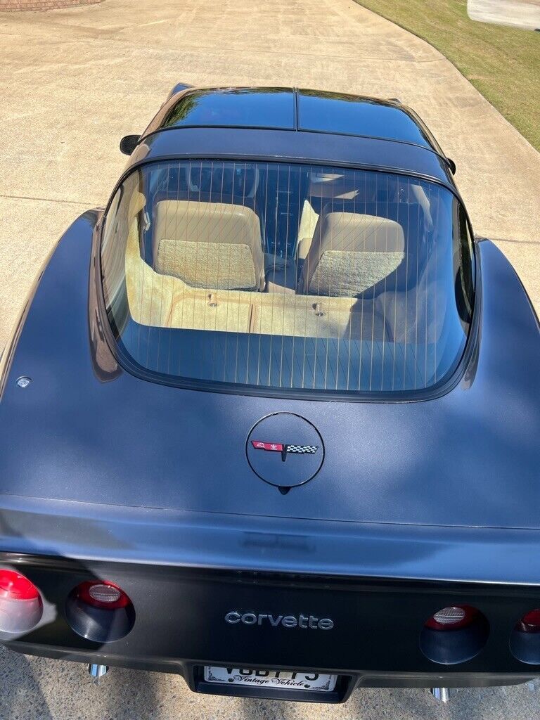 1981 Chevrolet Corvette - photo 10
