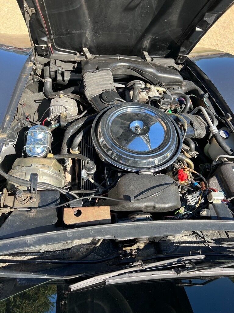 1981 Chevrolet Corvette - photo 5