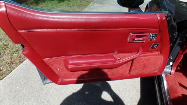 1981 Chevrolet Corvette - photo 12