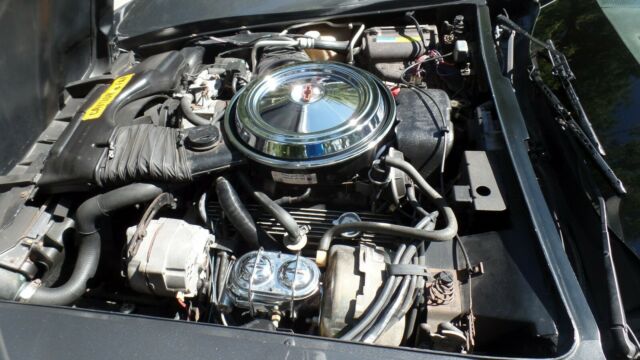 1981 Chevrolet Corvette - photo 7