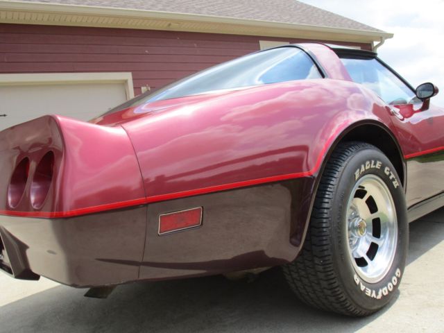 1981 Chevrolet Corvette 2-Door Coupe - photo 10