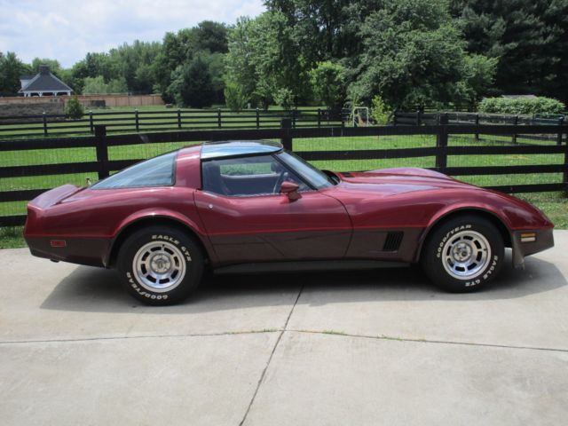 1981 Chevrolet Corvette 2-Door Coupe - photo 13