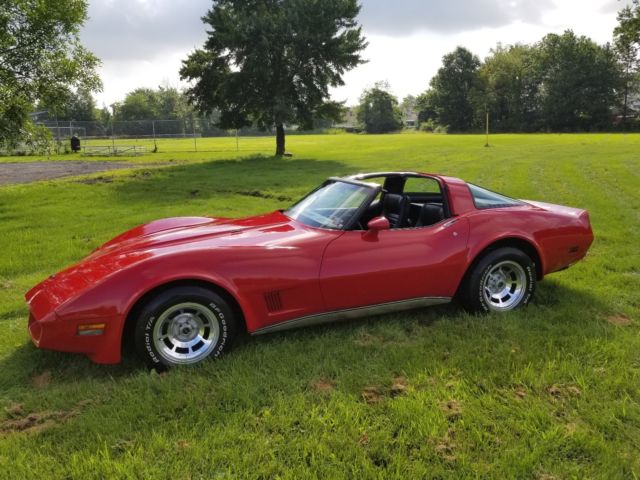 1981 CORVETTE WITH MIRROR T-TOPS IN SHOWROOM CONDITION 1981 Chevrolet Corvette