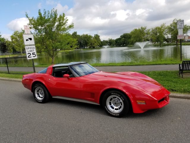 1981 Chevrolet Corvette - photo 10