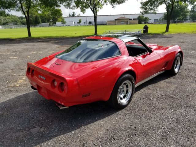 1981 Chevrolet Corvette - photo 12