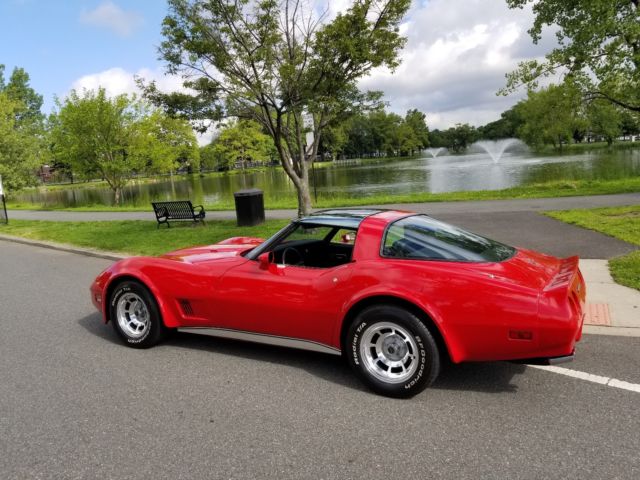 1981 Chevrolet Corvette - photo 9