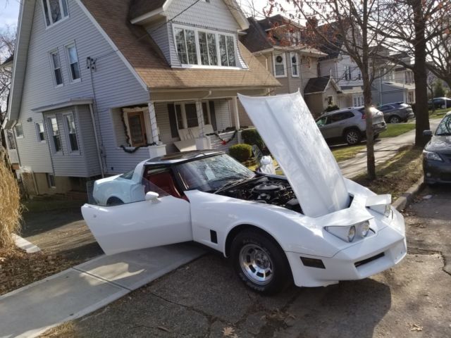 1981 Chevrolet Corvette T-TOPS - photo 10