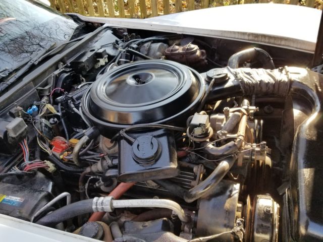 1981 Chevrolet Corvette T-TOPS - photo 12