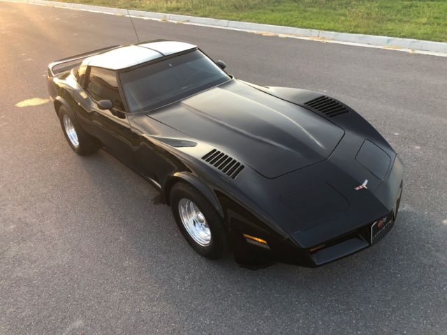 1981 Chevrolet Corvette Beautiful C3 Classic Low Miles Corvette - photo 10