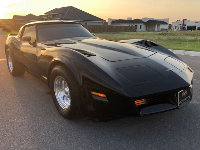 1981 Chevrolet Corvette Beautiful C3 Classic Low Miles Corvette - photo 11