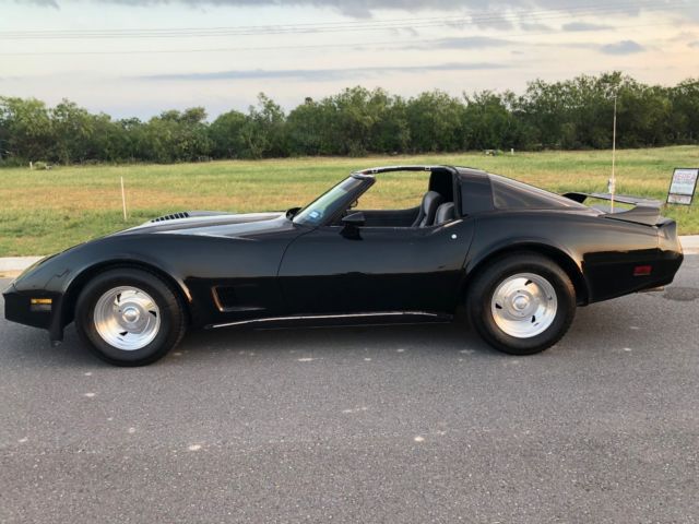 1981 Chevrolet Corvette Beautiful C3 Classic Low Miles Corvette - photo 12