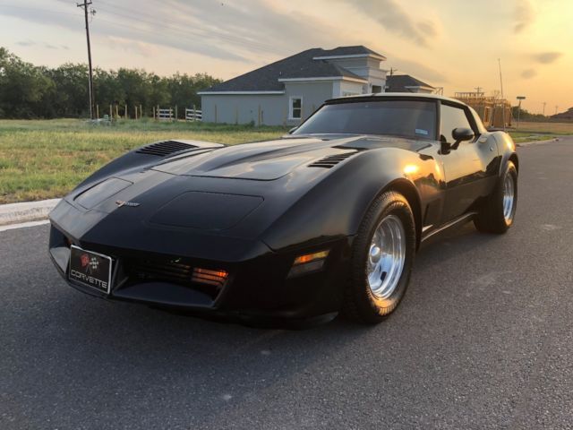 1981 Chevrolet Corvette Beautiful C3 Classic Low Miles Corvette - photo 13