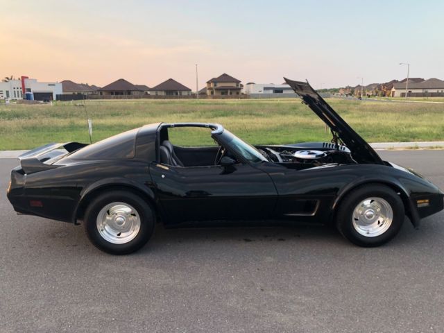 1981 Chevrolet Corvette Beautiful C3 Classic Low Miles Corvette - photo 4