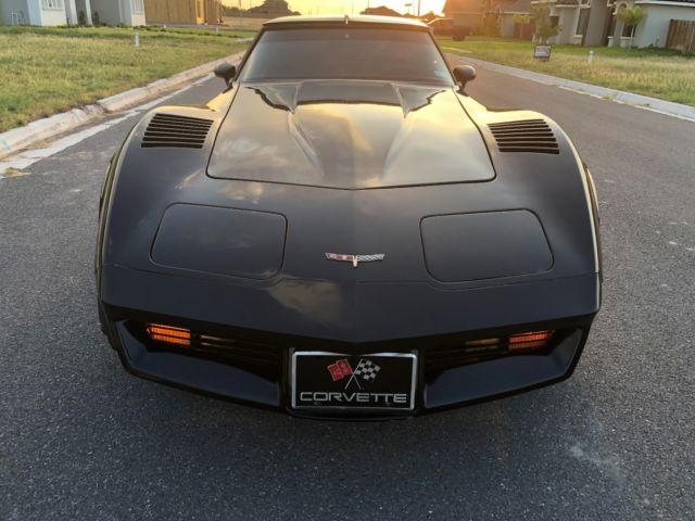 1981 Chevrolet Corvette Beautiful C3 Classic Low Miles Corvette - photo 7