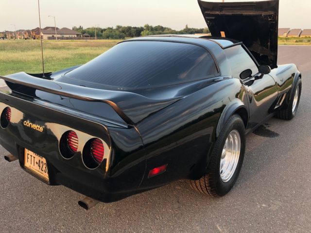 1981 Chevrolet Corvette Beautiful C3 Classic Low Miles Corvette - photo 8
