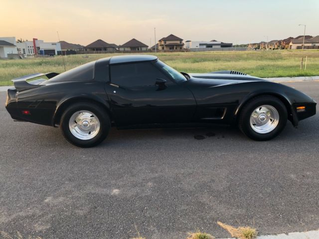 1981 Chevrolet Corvette Beautiful C3 Classic Low Miles Corvette - photo 9