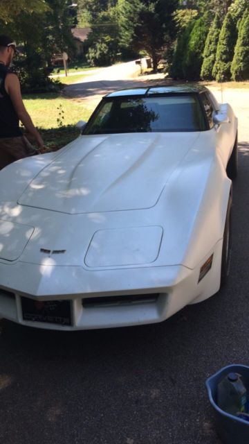 1981 Chevrolet Corvette - photo 8