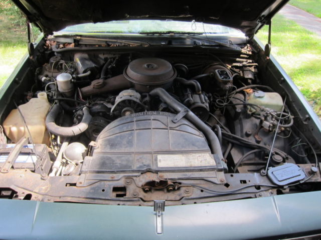 1981 Oldsmobile Cutlass Cutlass Supreme - photo 3