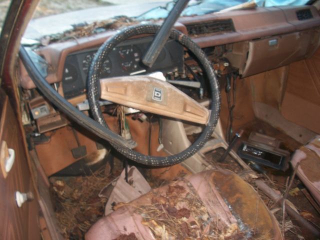 1981 Datsun Other - photo 10