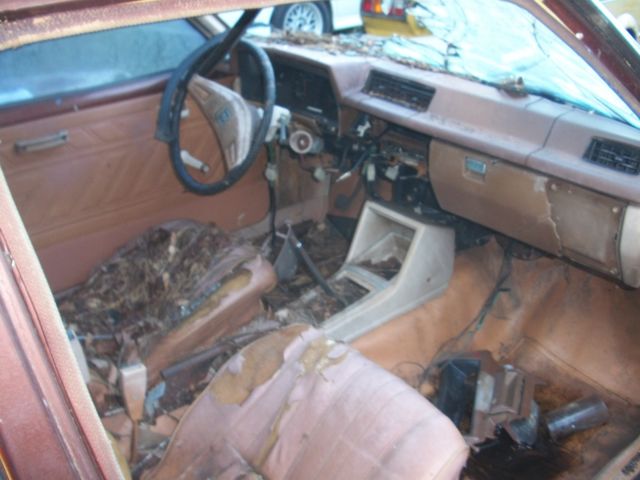 1981 Datsun Other - photo 11