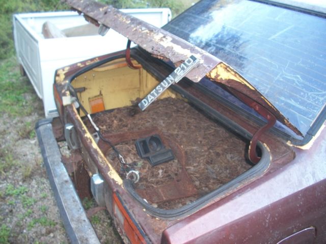 1981 Datsun Other - photo 4