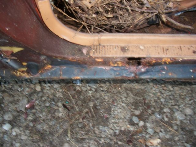 1981 Datsun Other - photo 9