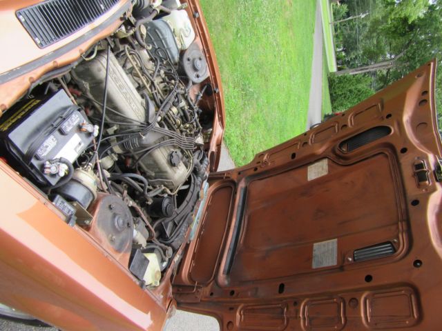 1981 Datsun Z-Series - photo 7