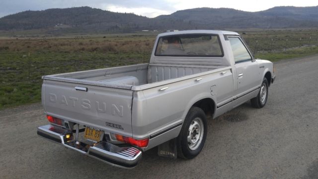 1981 Datsun Other - photo 6