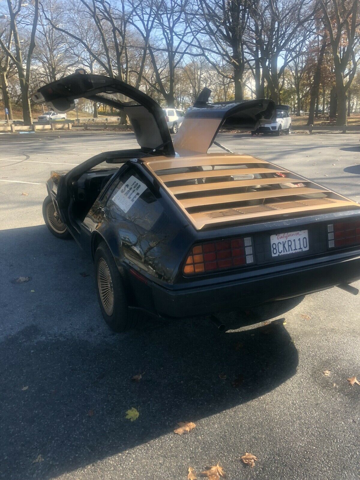 1981 DeLorean DMC-12 - photo 6
