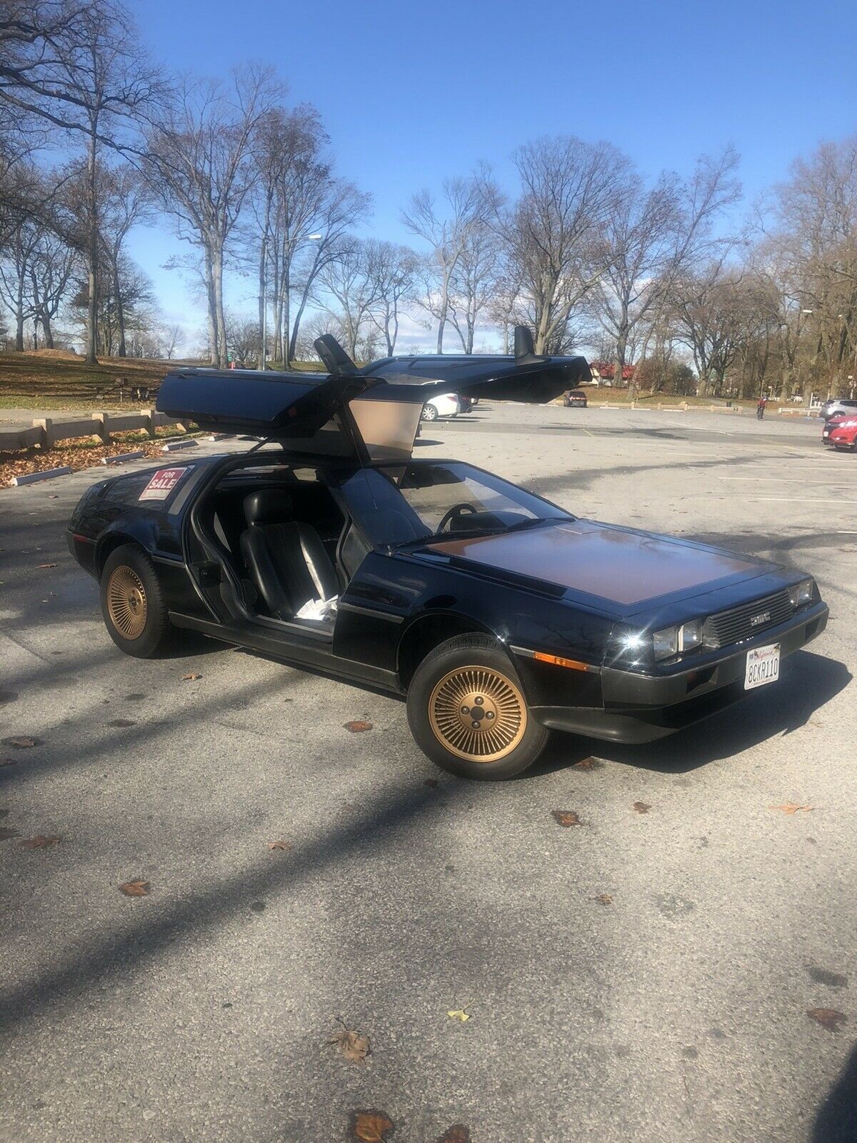 1981 DeLorean DMC-12 - photo 7