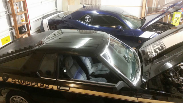 1981 Dodge Charger Charger 2.2 - photo 10