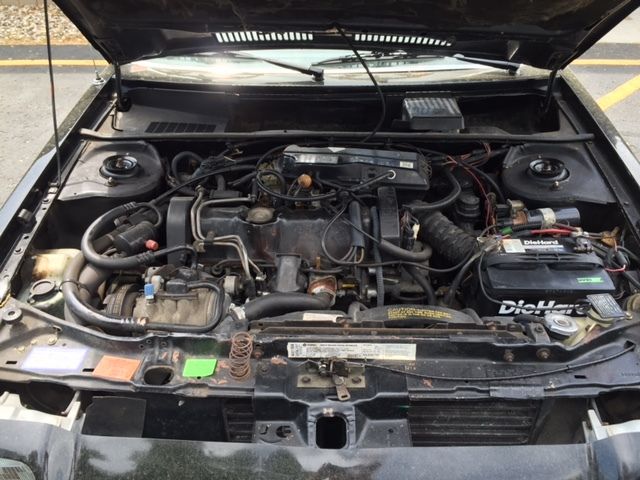 1981 Dodge Charger Charger 2.2 - photo 12