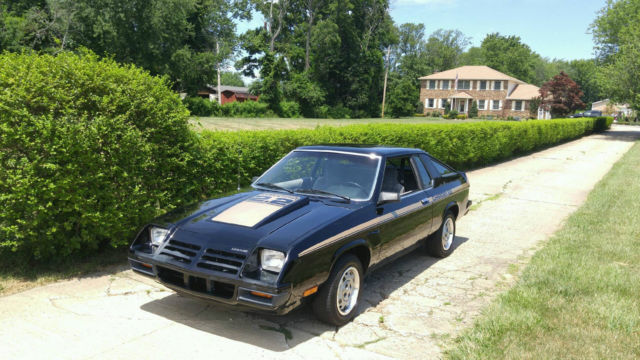 1981 Dodge Charger Charger 2.2 - photo 9