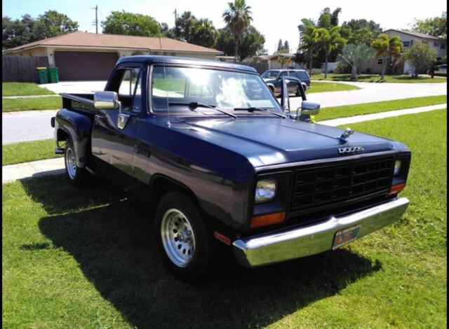 1981 Dodge D150 - photo 5
