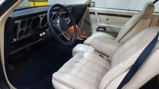 1981 Dodge Other 2 dr. - photo 11