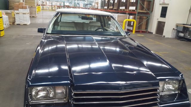 1981 Dodge Other 2 dr. - photo 9